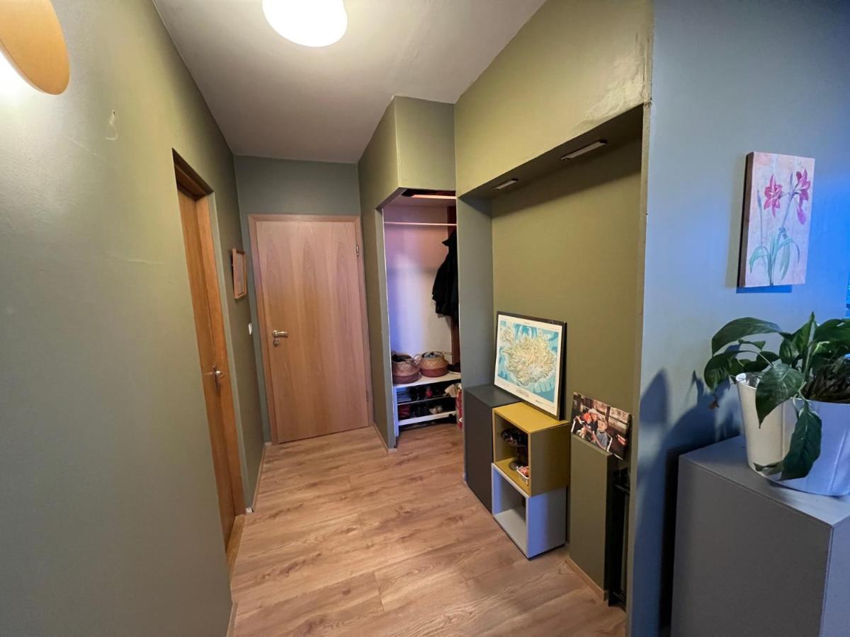 Jm Homestay - A Cozy Two Bedroom Apartment 雷克雅維克 外观 照片